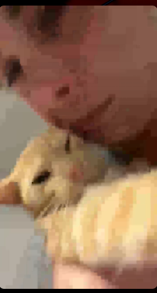 Captura de pantalla 2025-10-22 175411.png